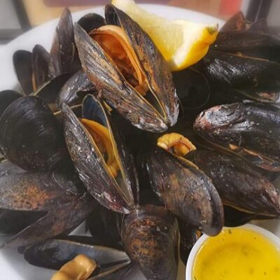 Mussels